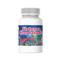 SISTEMA CIRCULATORIO - Image 1