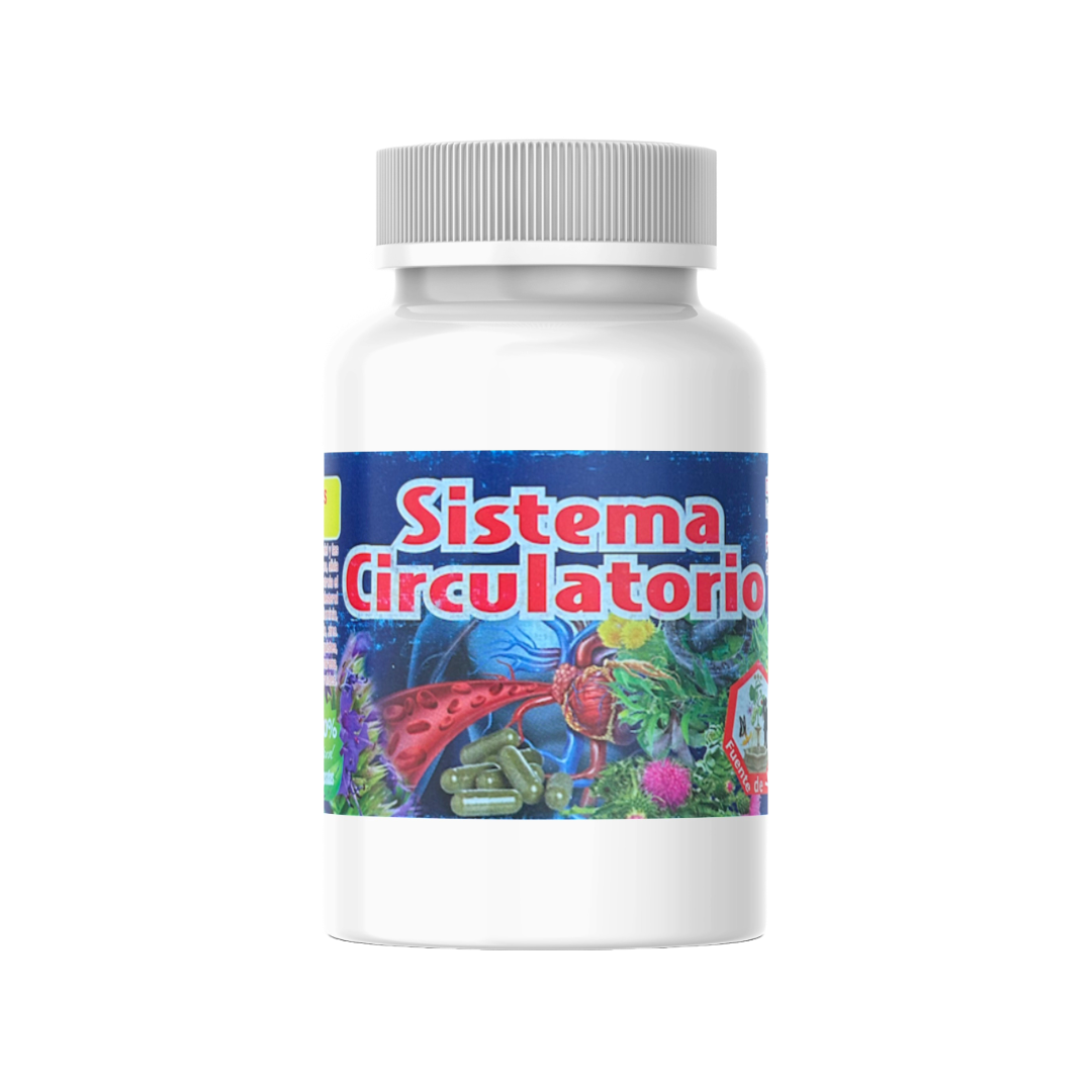 SISTEMA CIRCULATORIO - Image 1